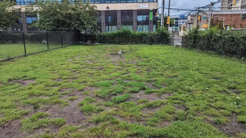 Dog run - Hoboken, NJ
