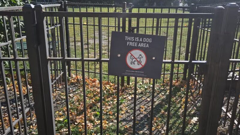 Dog run - Hoboken, NJ