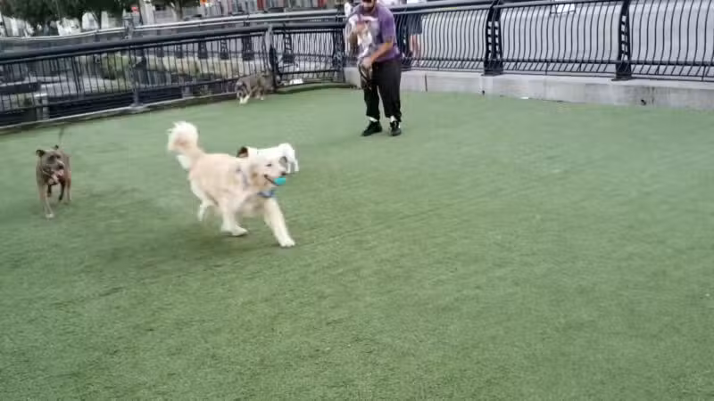 Shipyard Park Dog Park - Hoboken, NJ