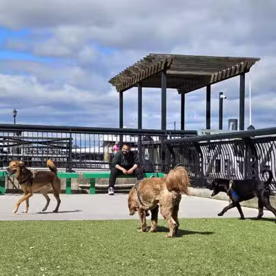 Shipyard Park Dog Park - Hoboken, NJ