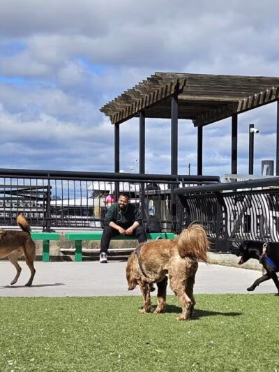 Shipyard Park Dog Park - Hoboken, NJ