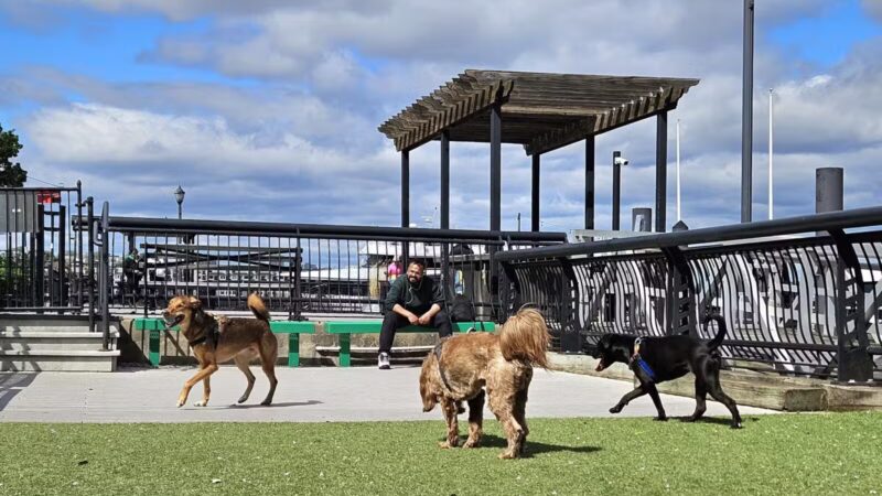 Shipyard Park Dog Park - Hoboken, NJ