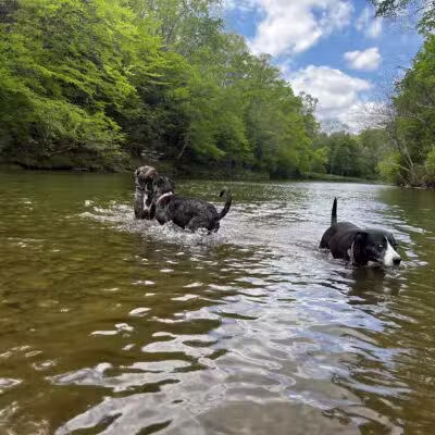 Buffalo River Public Access Point - Grinder's Creek - Hohenwald, TN