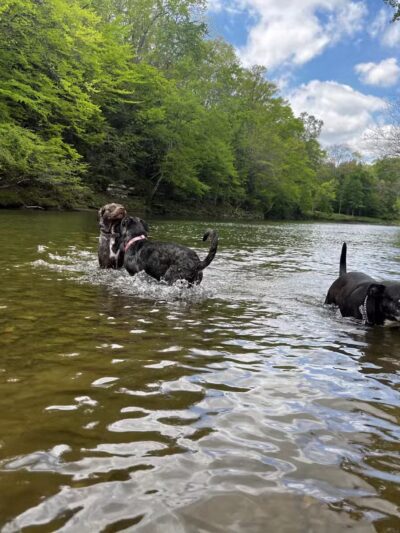 Buffalo River Public Access Point - Grinder's Creek - Hohenwald, TN
