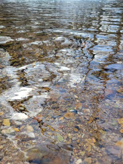 English Camp - Hohenwald, TN