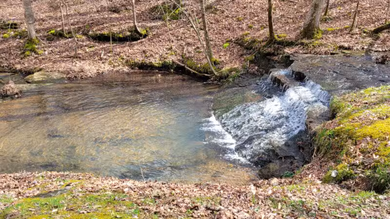 English Camp - Hohenwald, TN