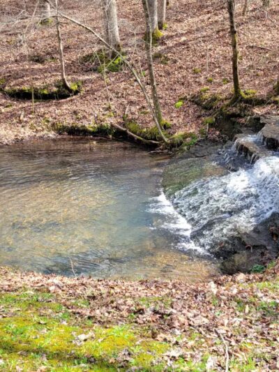 English Camp - Hohenwald, TN
