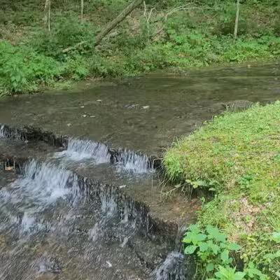 English Camp - Hohenwald, TN