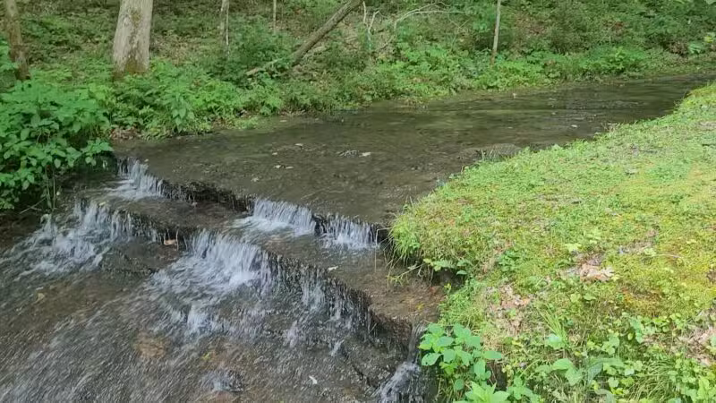 English Camp - Hohenwald, TN
