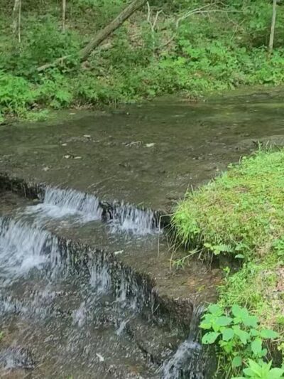 English Camp - Hohenwald, TN