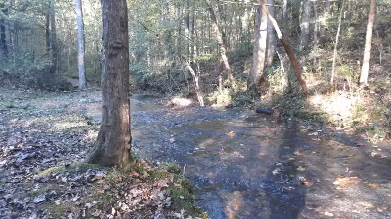 English Camp - Hohenwald, TN