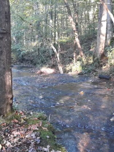 English Camp - Hohenwald, TN
