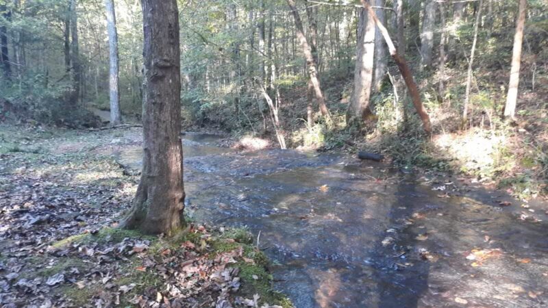 English Camp - Hohenwald, TN