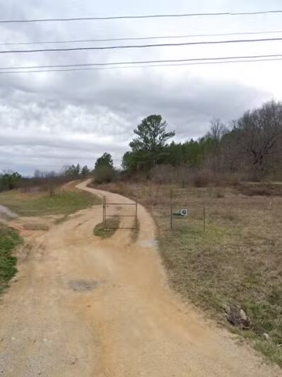 High Forest Humane Society - Hohenwald, TN