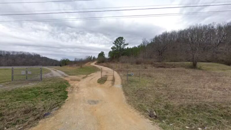 High Forest Humane Society - Hohenwald, TN