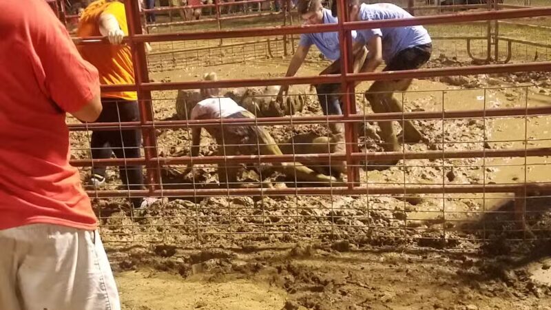 Hohenwald Memorial Park - Hohenwald, TN