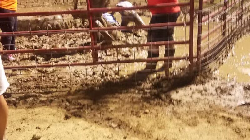 Hohenwald Memorial Park - Hohenwald, TN