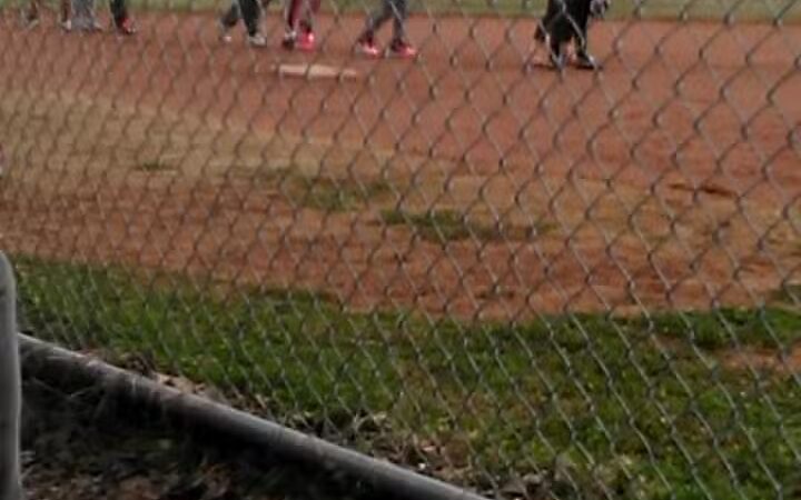 Park - Hohenwald, TN