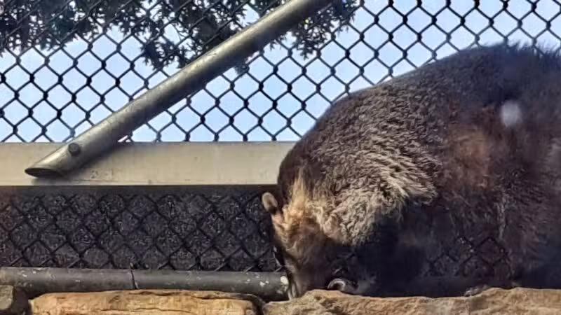 Holtsville animal park - Holtsville, NY