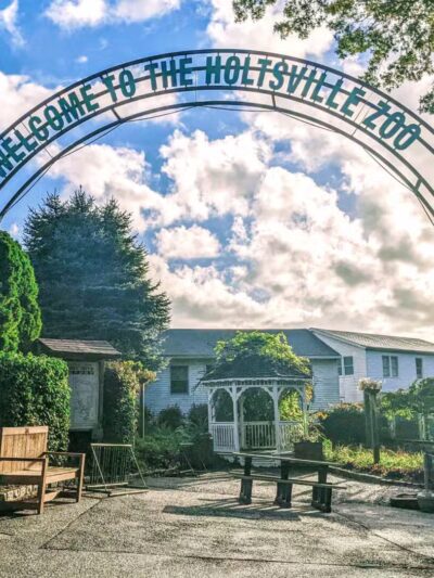 Holtsville animal park - Holtsville, NY