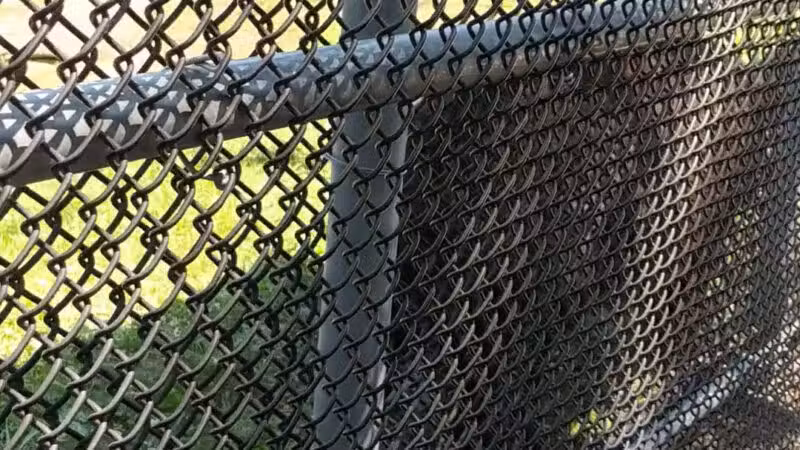 Holtsville animal park - Holtsville, NY