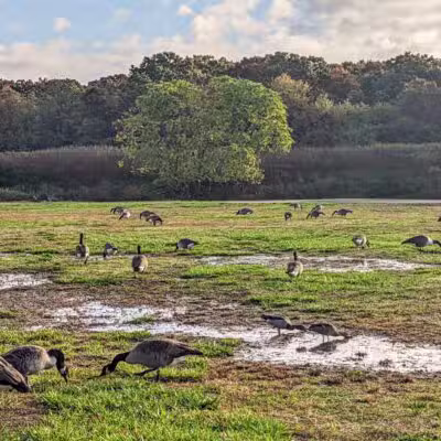 Holtsville Ecogoly Site - Holtsville, NY