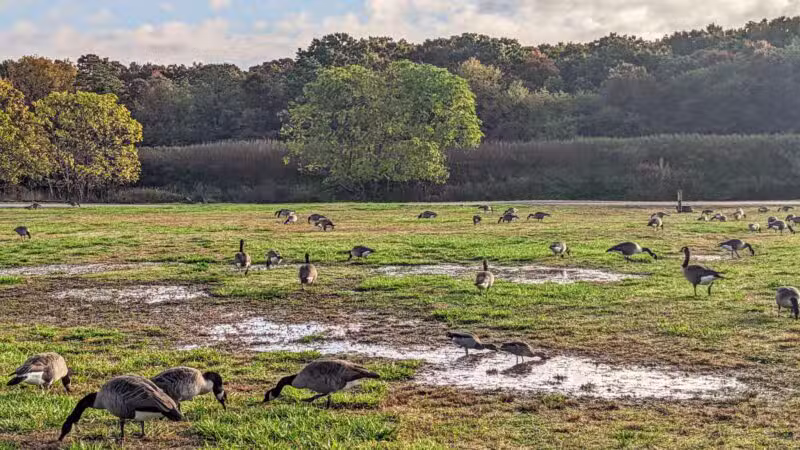 Holtsville Ecogoly Site - Holtsville, NY