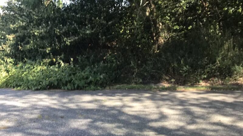 Holtsville Ecogoly Site - Holtsville, NY