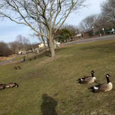 Holtsville Park - Holtsville, NY