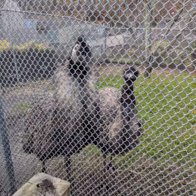 Holtsville Wildlife & Ecology Center - Holtsville, NY