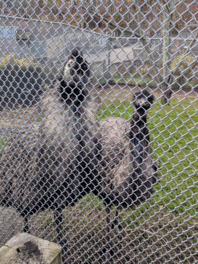 Holtsville Wildlife & Ecology Center - Holtsville, NY