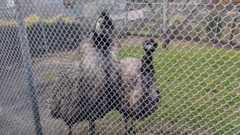 Holtsville Wildlife & Ecology Center - Holtsville, NY