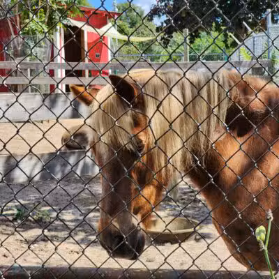 Holtsville Wildlife & Ecology Center - Holtsville, NY
