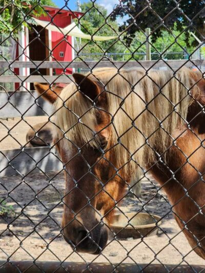 Holtsville Wildlife & Ecology Center - Holtsville, NY