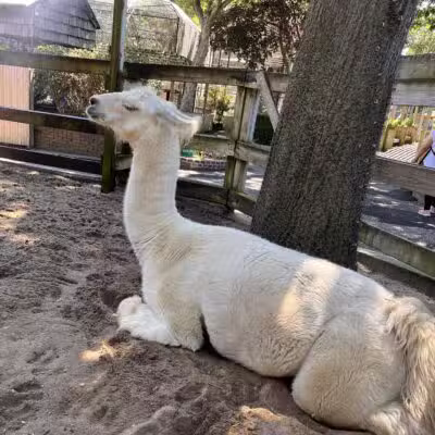Holtsville Wildlife & Ecology Center - Holtsville, NY