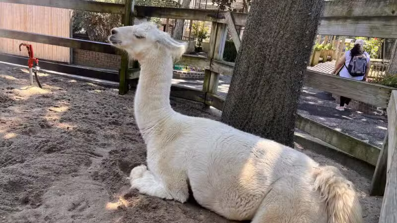 Holtsville Wildlife & Ecology Center - Holtsville, NY