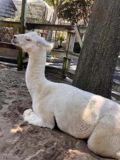 Holtsville Wildlife & Ecology Center - Holtsville, NY