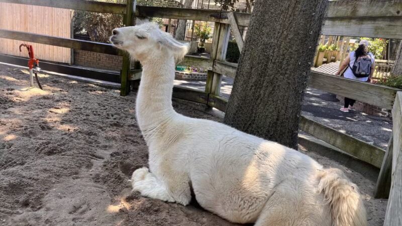 Holtsville Wildlife & Ecology Center - Holtsville, NY