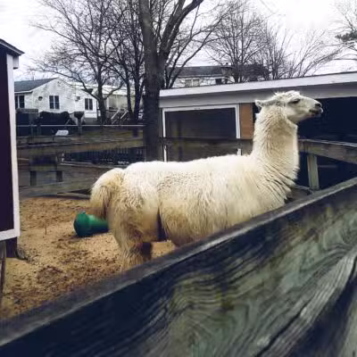 Holtsville Wildlife & Ecology Center - Holtsville, NY