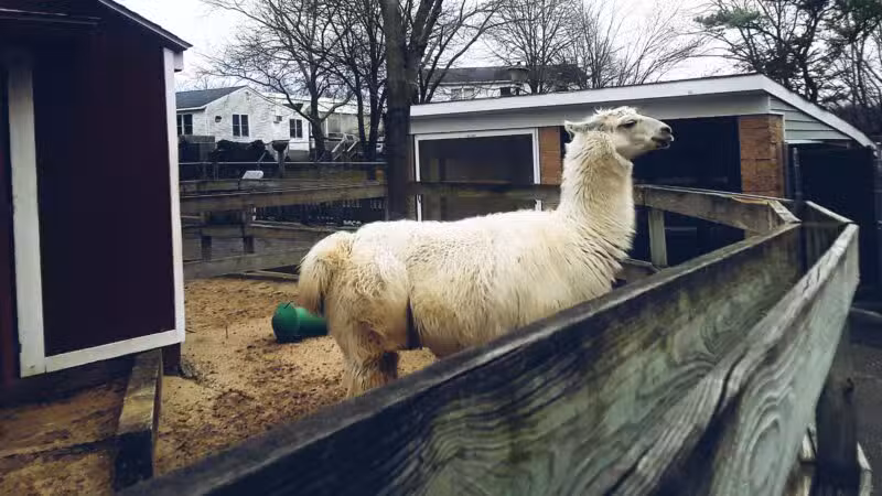 Holtsville Wildlife & Ecology Center - Holtsville, NY
