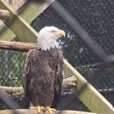 Holtsville Wildlife & Ecology Center - Holtsville, NY