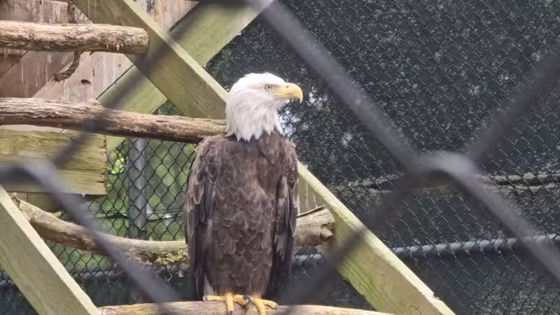 Holtsville Wildlife & Ecology Center - Holtsville, NY