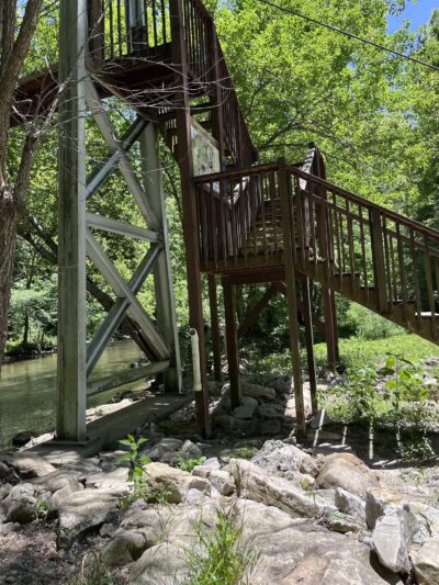 Pinnacle Natural Area Preserve - Honaker, VA