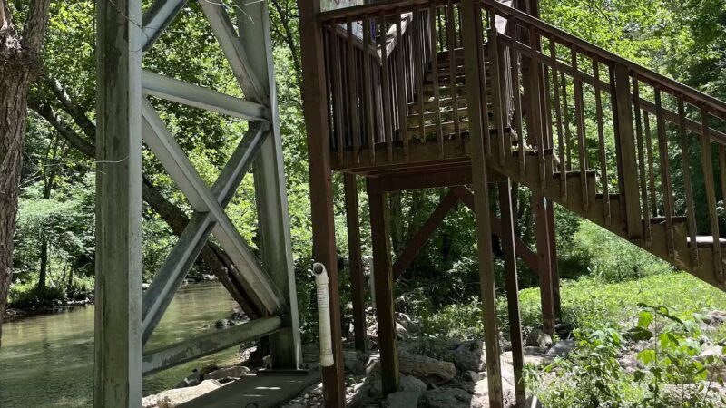 Pinnacle Natural Area Preserve - Honaker, VA