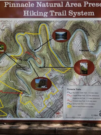 Pinnacle Natural Area Preserve - Honaker, VA