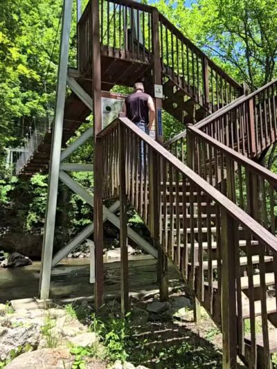 Pinnacle Natural Area Preserve - Honaker, VA