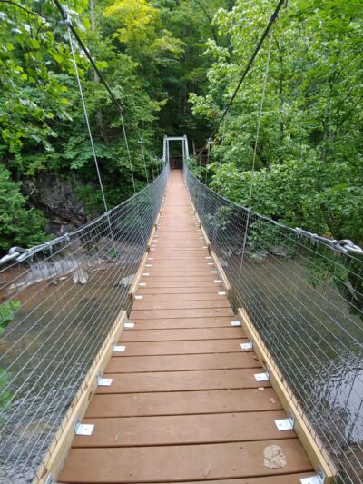 Pinnacle Natural Area Preserve - Honaker, VA