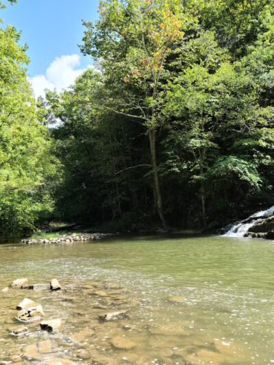 Pinnacle Natural Area Preserve - Honaker, VA