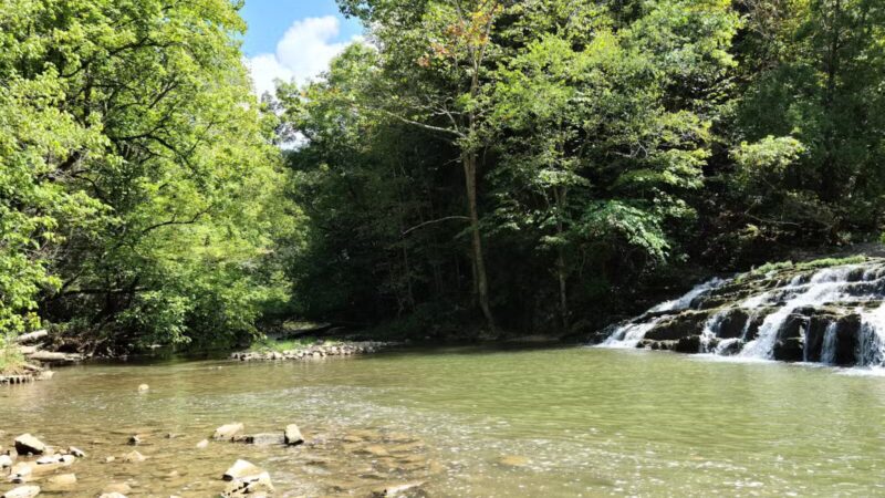 Pinnacle Natural Area Preserve - Honaker, VA