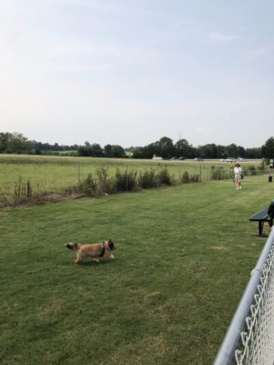 Dog Park at Love's Travel Stops - Hope Hull, AL